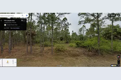 1115 Lincoln Avenue, Lehigh Acres, FL 33972 - Photo 2