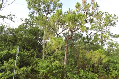 ''17992'' 94th Street N, Loxahatchee, FL 33470 - Photo 6