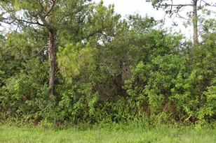 17992 94th St N, Loxahatchee, FL 33470 - Photo 1