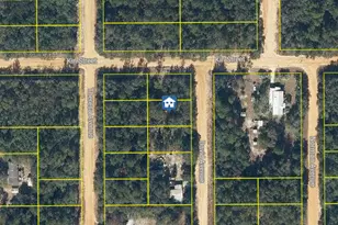 Lot 30 David Ave, Interlachen, FL 32148 - Photo 1