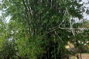 9570 Orange Ave, Fort Pierce, FL 34945 - Photo 24