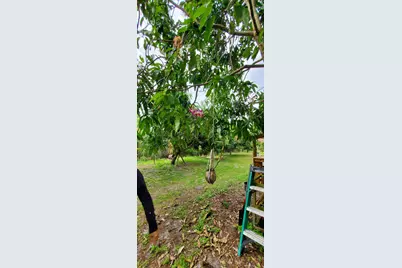 9570 Orange Avenue, Fort Pierce, FL 34945 - Photo 22