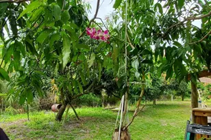 9570 Orange Ave, Fort Pierce, FL 34945 - Photo 22