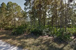 1144 Chiefland St E, Lehigh Acres, FL 33974 - Photo 1