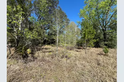 140 Hudson Trail, Interlachen, FL 32148 - Photo 2