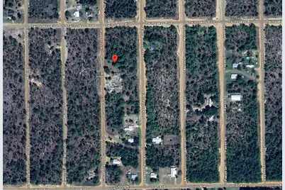 140 Hudson Trail, Interlachen, FL 32148 - Photo 8