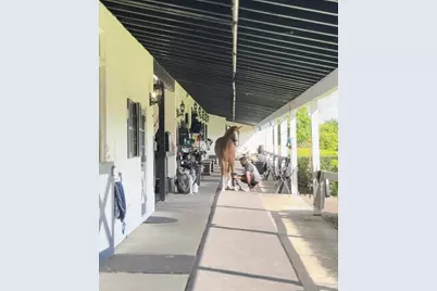 13205 Southfields Road, Wellington, FL 33414 - Photo 34