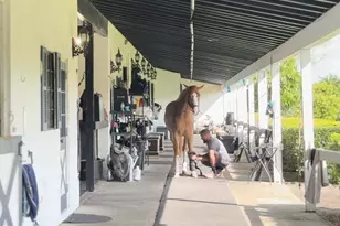 13205 Southfields Rd, Wellington, FL 33414 - Photo 34