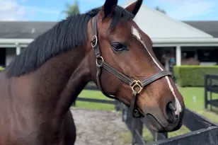 13205 Southfields Rd, Wellington, FL 33414 - Photo 14