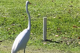 9259 SE Riverfront Terrace, Jupiter, FL 33469 - Photo 48