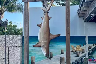 111 SE 1st Ave, Delray Beach, FL 33444 - Photo 42