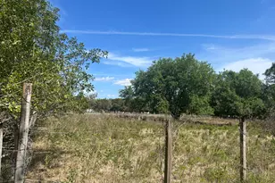 4810 Windmill Rd, Loxahatchee, FL 33470 - Photo 4