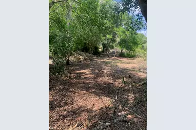 17774 NW 254th Street, Okeechobee, FL 34972 - Photo 10