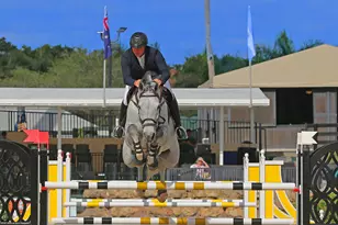 14965 Oatland Ct, Wellington, FL 33414 - Photo 28