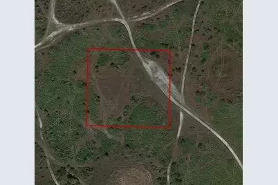 00000 NW 316th St Okeechobee, Okeechobee, FL 34972 - Photo 2