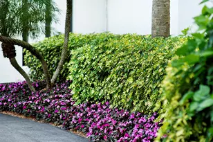 2760 S Ocean Blvd, Palm Beach, FL 33480 - Photo 60