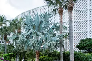 2760 S Ocean Blvd, Palm Beach, FL 33480 - Photo 52