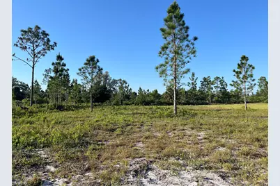 Calendula Drive, Indian Lake Estates, FL 33855 - Photo 6