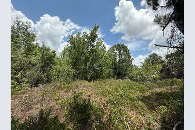 Tbd Snug Street, North Port, FL 34286 - Photo 6