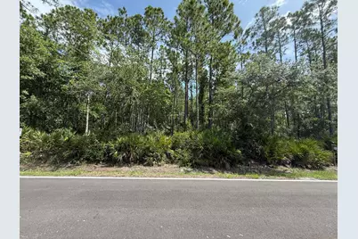 180 Millican Road, Palatka, FL 32177 - Photo 1