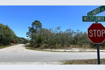3153 Oleander Drive, Lake Placid, FL 33852 - Photo 2