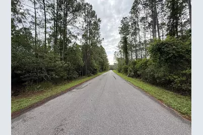 242 Lakeway Drive, Georgetown, FL 32139 - Photo 4