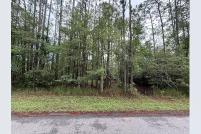 242 Lakeway Drive, Georgetown, FL 32139 - Photo 6