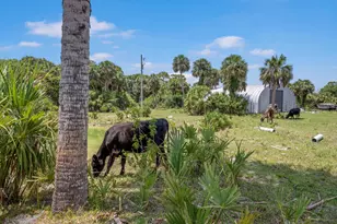 13351 Williams Rd, Port Saint Lucie, FL 34987 - Photo 12