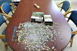 2802 Crosley Dr W, West Palm Beach, FL 33415 - Photo 34