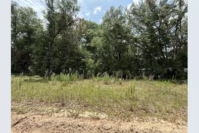 119 Smokey Avenue, Interlachen, FL 32148 - Photo 2