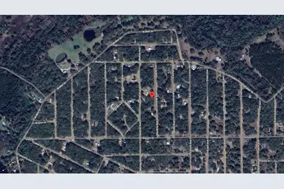 119 Smokey Avenue, Interlachen, FL 32148 - Photo 6