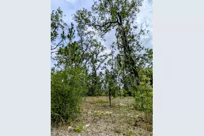 2450 W Rutland Drive, Citrus Springs, FL 34434 - Photo 2