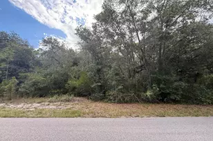 1012 Wildflower St, Lake Placid, FL 33852 - Photo 1