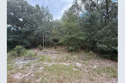 1012 Wildflower Street, Lake Placid, FL 33852 - Photo 12