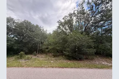 1012 Wildflower Street, Lake Placid, FL 33852 - Photo 14