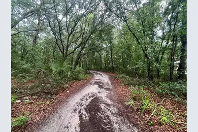 Tbd Delaware Avenue, Interlachen, FL 32148 - Photo 6