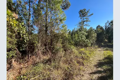 223 Mourning Dove Road, Satsuma, FL 32189 - Photo 6