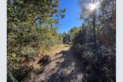 223 Mourning Dove Road, Satsuma, FL 32189 - Photo 4