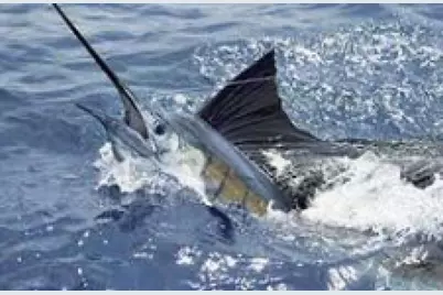 1951 SE Erwin Road, Port Saint Lucie, FL 34952 - Photo 44