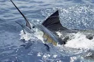 1951 SE Erwin Rd, Port Saint Lucie, FL 34952 - Photo 44