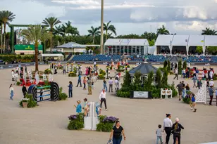 900 Cosmos Ct, Wellington, FL 33414 - Photo 44