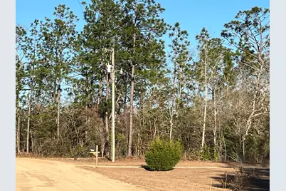 Tbd Goreville, Alford, FL 32420 - Photo 2