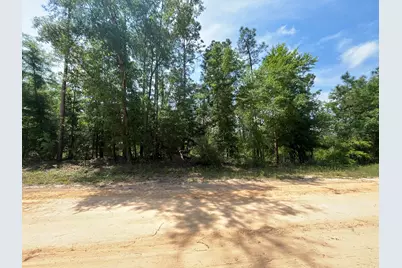 Tbd Holly Springs, Alford, FL 32420 - Photo 10