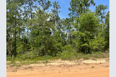 Tbd Holly Springs, Alford, FL 32420 - Photo 1
