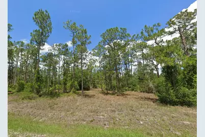 1223 Richmond Avenue N, Lehigh Acres, FL 33972 - Photo 1