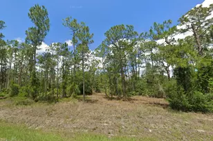1223 Richmond Ave N, Lehigh Acres, FL 33972 - Photo 1