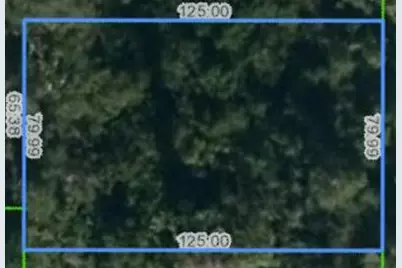 1126 Greenfield Street, Lake Placid, FL 33852 - Photo 6