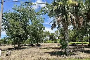 1170 Foxmoor St, Moore Haven, FL 33471 - Photo 1