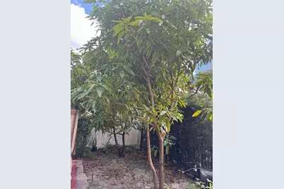 236 Gazetta Way, West Palm Beach, FL 33413 - Photo 22