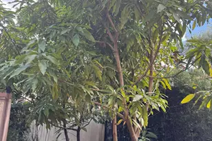 236 Gazetta Way, West Palm Beach, FL 33413 - Photo 22